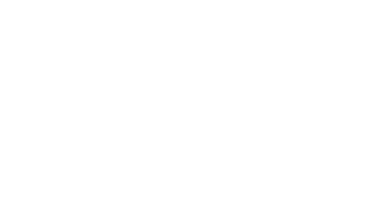 LS Civil logo